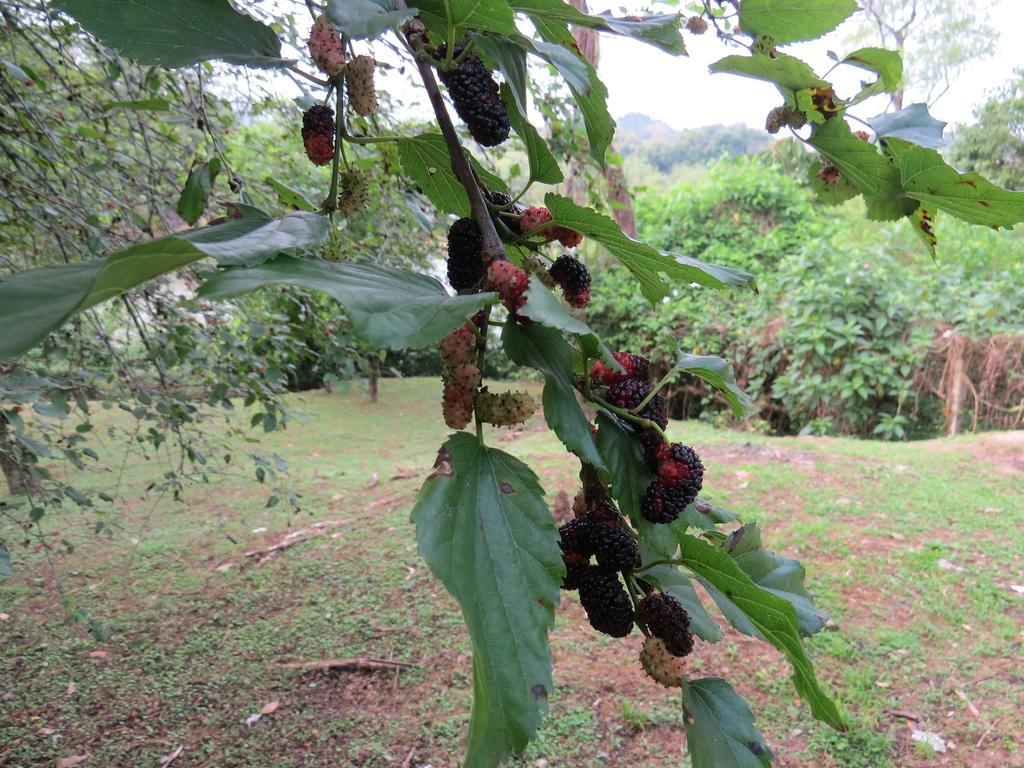 Pousada Do Russo Blumenau Zewnętrze zdjęcie